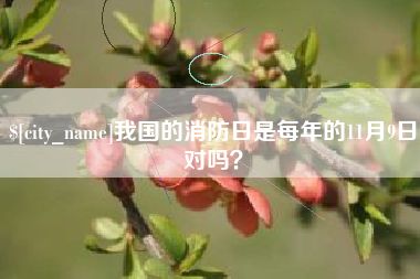 延边我国的消防日是每年的11月9日对吗？
