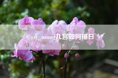 延边九宫如何排日