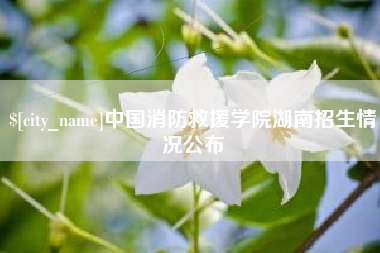 延边中国消防救援学院湖南招生情况公布