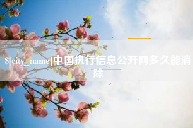 延边中国执行信息公开网多久能消除