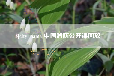 延边中国消防公开课回放