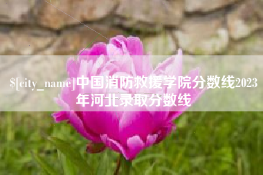 延边中国消防救援学院分数线2023年河北录取分数线