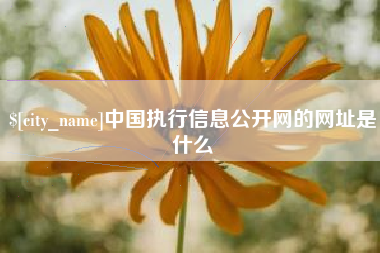 延边中国执行信息公开网的网址是什么