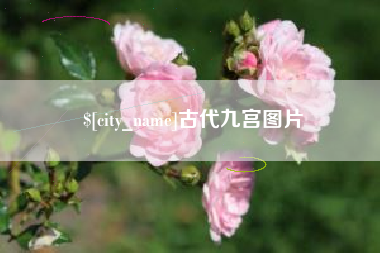延边古代九宫图片