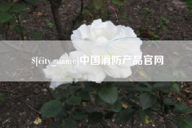 延边中国消防产品官网