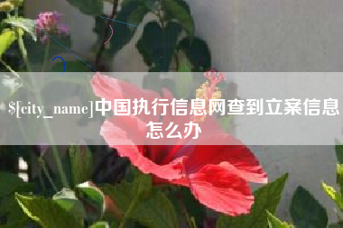 延边中国执行信息网查到立案信息怎么办