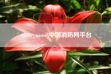 延边中国消防网平台