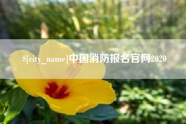 延边中国消防报名官网2020