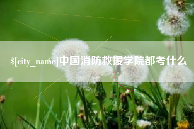 延边中国消防救援学院都考什么