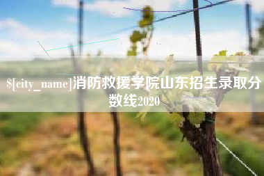 延边消防救援学院山东招生录取分数线2020