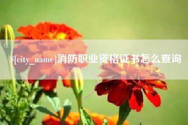 延边消防职业资格证书怎么查询