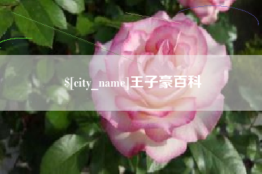 延边王子豪百科
