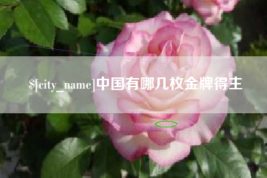 延边中国有哪几枚金牌得主