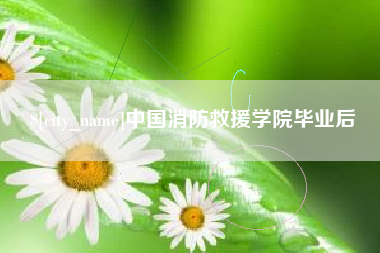延边中国消防救援学院毕业后