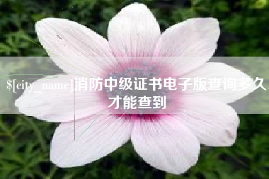延边消防中级证书电子版查询多久才能查到
