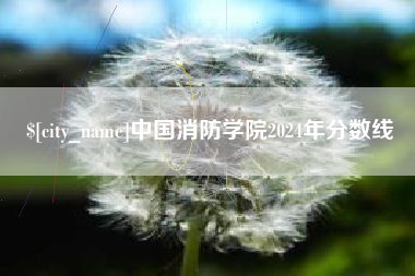 延边中国消防学院2024年分数线
