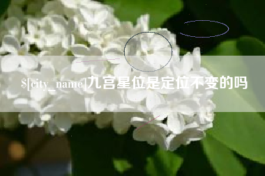 延边九宫星位是定位不变的吗