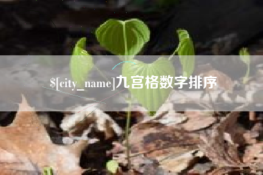 延边九宫格数字排序