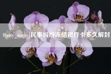 延边民事纠纷冻结银行卡多久解封