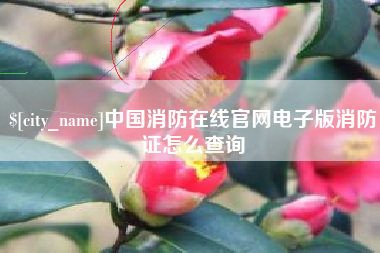 延边中国消防在线官网电子版消防证怎么查询