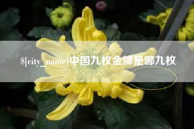 延边中国九枚金牌是哪九枚