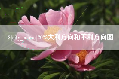 延边2025大利方向和不利方向图