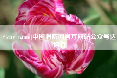 延边中国消防网官方网站公众号达伦特