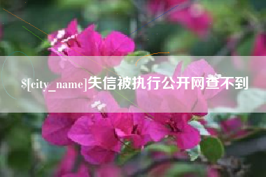 延边失信被执行公开网查不到