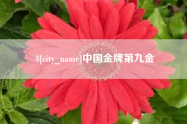 延边中国金牌第九金
