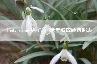 延边男子5000米年龄成绩对照表