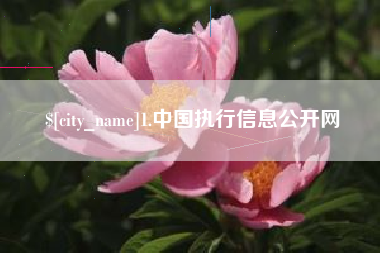 延边1.中国执行信息公开网