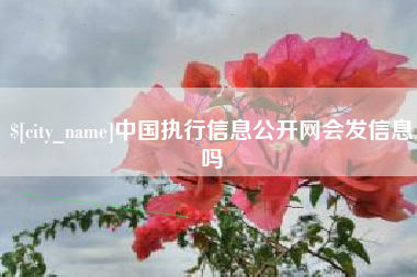 延边中国执行信息公开网会发信息吗