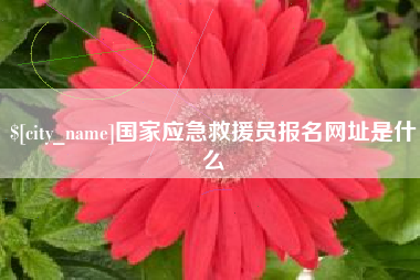 延边国家应急救援员报名网址是什么
