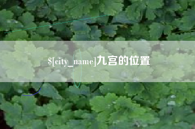延边九宫的位置