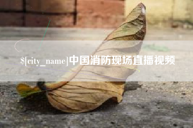延边中国消防现场直播视频