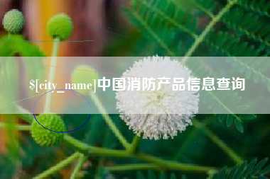 延边中国消防产品信息查询