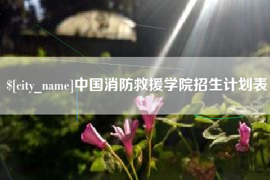 延边中国消防救援学院招生计划表