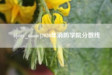 延边2020年消防学院分数线