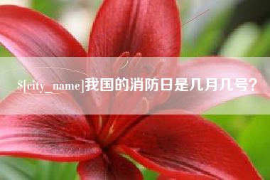 延边我国的消防日是几月几号？