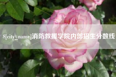 延边消防救援学院内部招生分数线