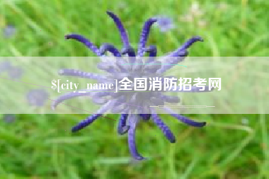 延边全国消防招考网