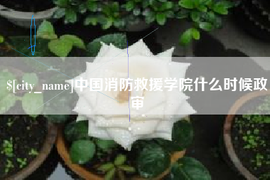 延边中国消防救援学院什么时候政审