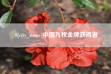 延边中国九枚金牌获得者