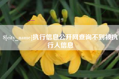 延边执行信息公开网查询不到被执行人信息