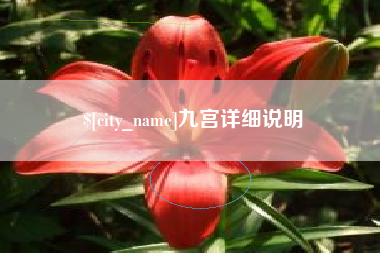 延边九宫详细说明