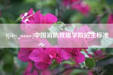 延边中国消防救援学院招生标准