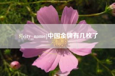 延边中国金牌有几枚了