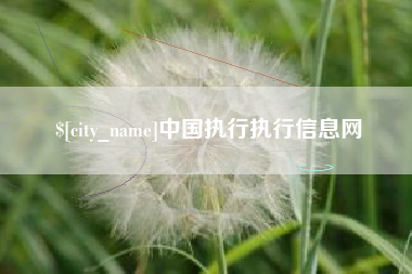 延边中国执行执行信息网