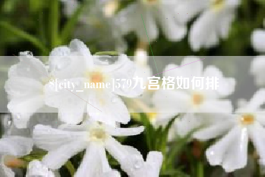 延边579九宫格如何排