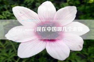 延边现在中国哪几个金牌